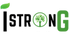 iStronG (Inclusive, Strong, and Green)- A Student-Centered Systems Thinking, Place-Based, and Technology-Driven Curriculum