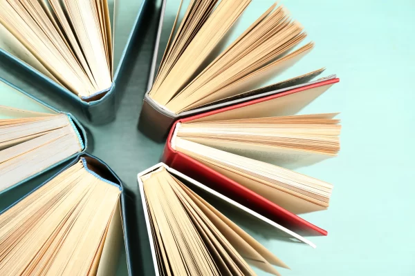 Family Brief: Reading is Everywhere
